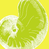 Graphic Shell II