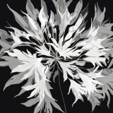 Radiance I