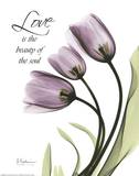 Blackberry Tulips  Love