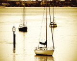 St Augustine Harbor II