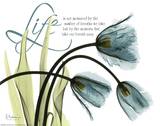 Mineral Blue Life Tulips