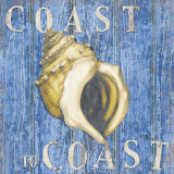 Coastal USA Conch