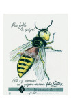 Fils Elastiques Corset