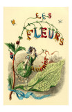Fleurs Animees-Cover