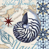 Trade Wind Nautilus