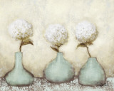 Hydrangea II