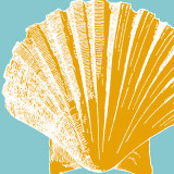 Graphic Shell IV