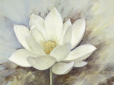 White Elegance I
