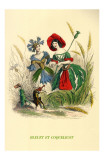 Bleuets et Coquelicots