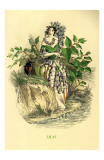 Lilas