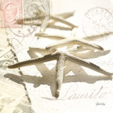 Postal Shells III