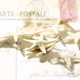 Postal Shells II