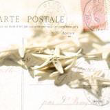Postal Shells II