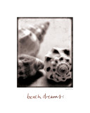 Beach Dreams