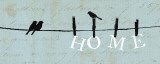 Birds on a Wire - Home