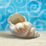 Gifts from the Sea I