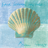 Calm Seas