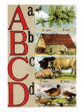 A  B  C  D Illustrated Letters
