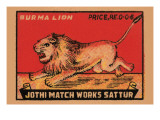 Burma Lion