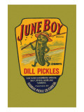 June Boy Dill Pickles
