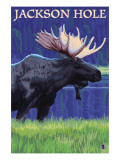 Jackson Hole  Wyoming - Moose at Night