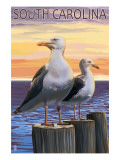 South Carolina - Sea Gulls