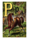 P For the Pony That Plays In the Park