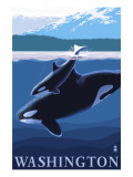 Orca and Calf - Washington