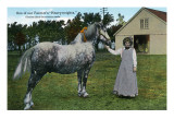 Farming Woman with Unsaddled Horse