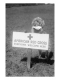 Sandy  the American Red Cross Dog Welcomes Everyone
