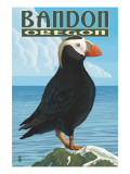 Bandon  Oregon - Puffin
