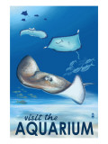 Rays - Visit the Aquarium