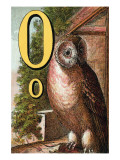 O For the Owl That Sees In the Dark