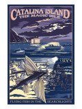 Catalina Island  California - Flying Fish