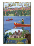 Allegany State Park  New York - Montage