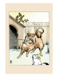 Old Prince Tied To His Dog House