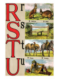 R  S  T  U Illustrated Letters