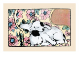 Napping Fox Terrier Dogs