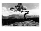 Colorado - Longs Peak from the Lone Pine on High Drive