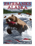 Grizzly Fishing Salmon - Fairbanks  AK