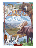 Denali National Park  Alaska - Park Views