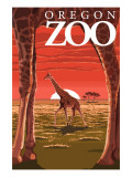 Giraffe Sunset - Oregon Zoo