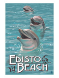 Edisto Beach  South Carolina - Dolphins
