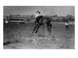 Calgary  Canada - Bucking Horse at the Stampede