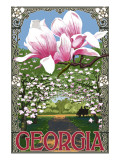 Georgia - Magnolias