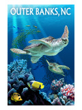 Outer Banks  North Carolina - Sea Turtles