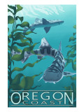 Oregon Coast - Leopard Shark