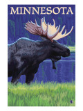 Moose at Night - Minnesota
