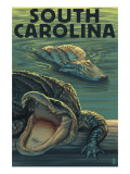 South Carolina - Alligators