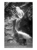 Colorado Springs  Colorado - South Cheyenne Canyon; Burro at Seven Falls